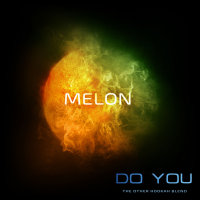 Бестабачная смесь для кальяна Do you - Melon