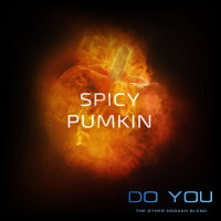 Бестабачная смесь для кальяна Do you - Spicy Pumpkin